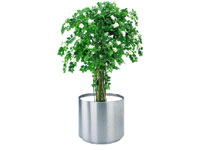 不锈钢花盆P3037