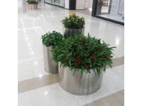 不钢钢花箱P1008